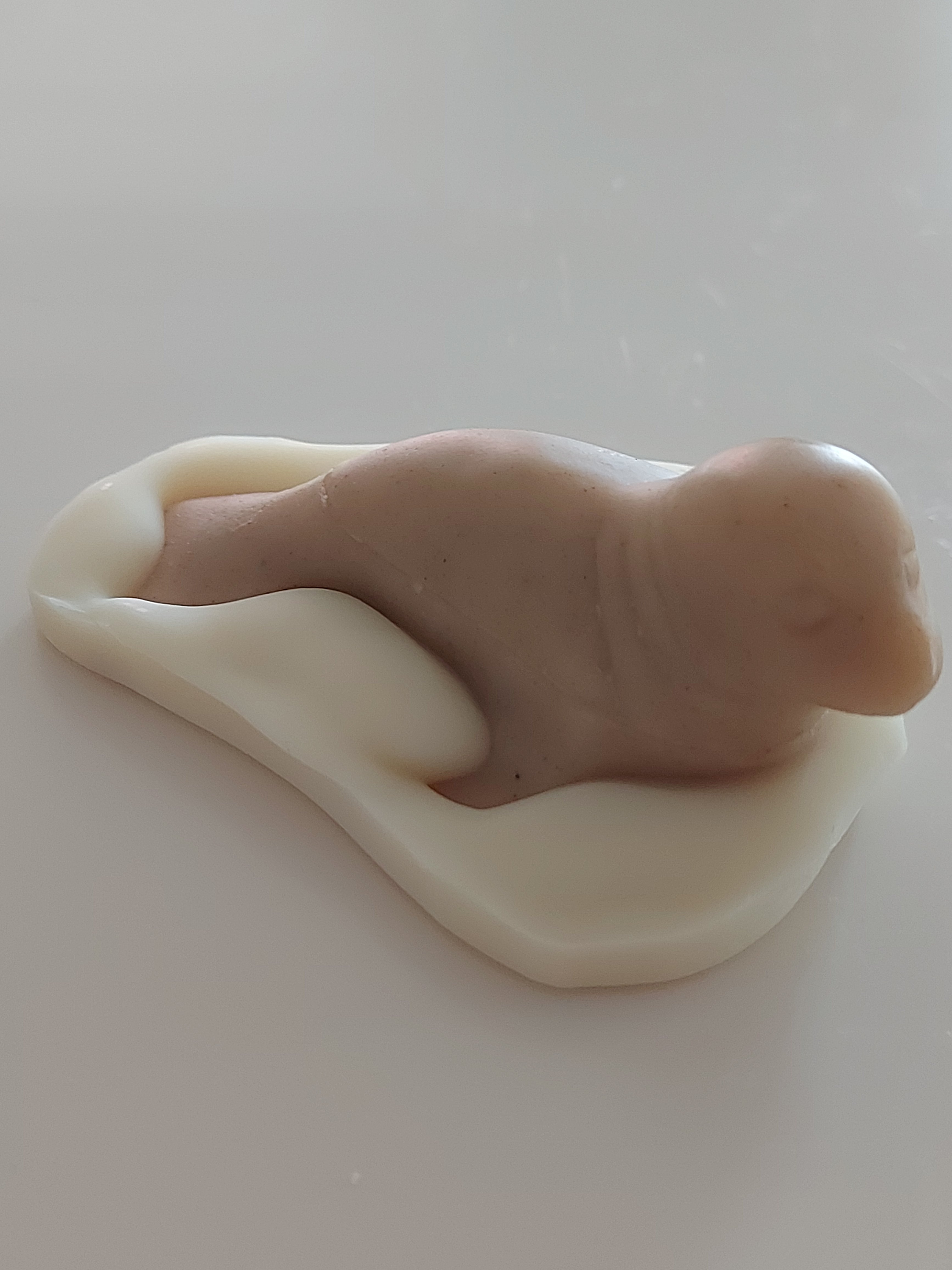 "Strandsæl"