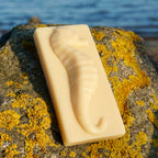 "Seahorse"