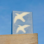 "Seagulls"