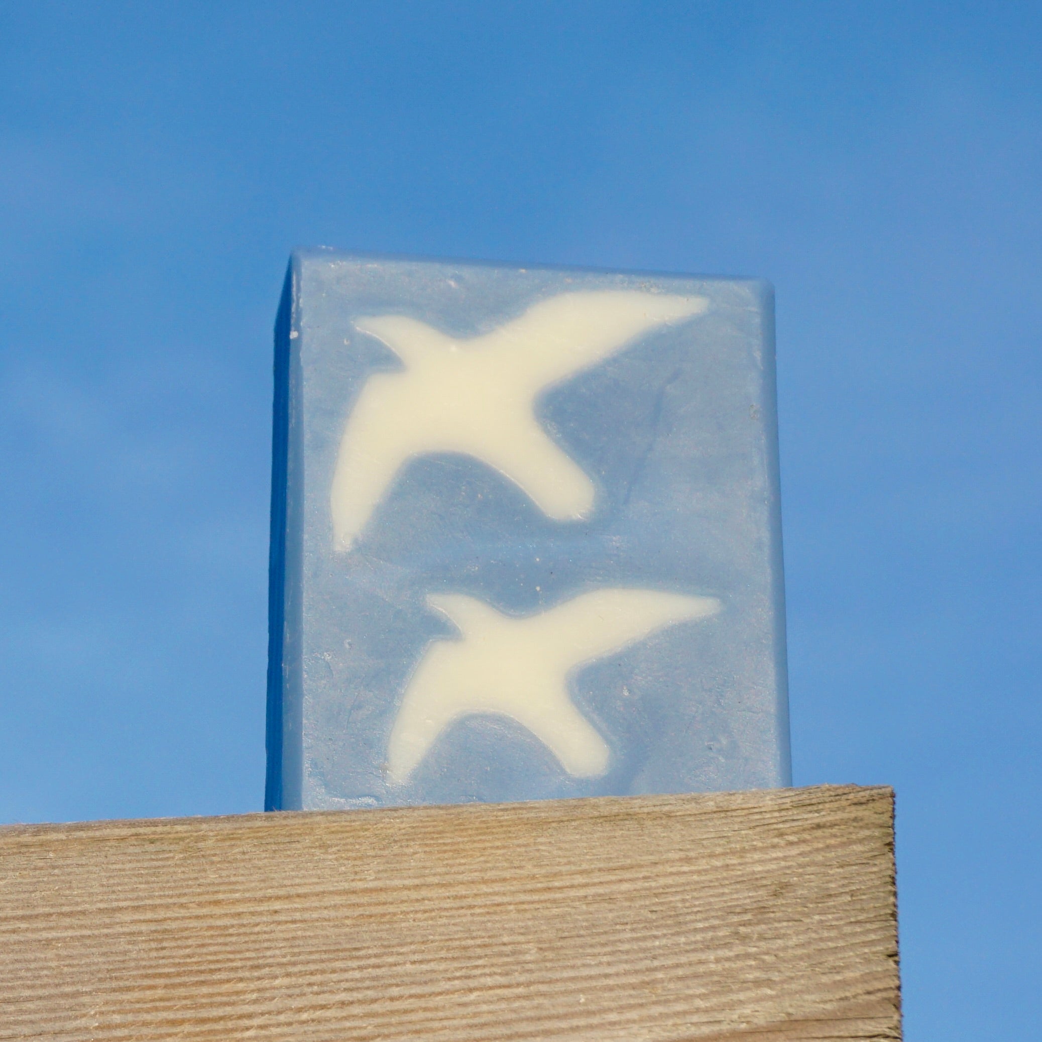 "Seagulls"