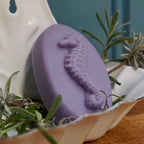 "Little Seahorse"