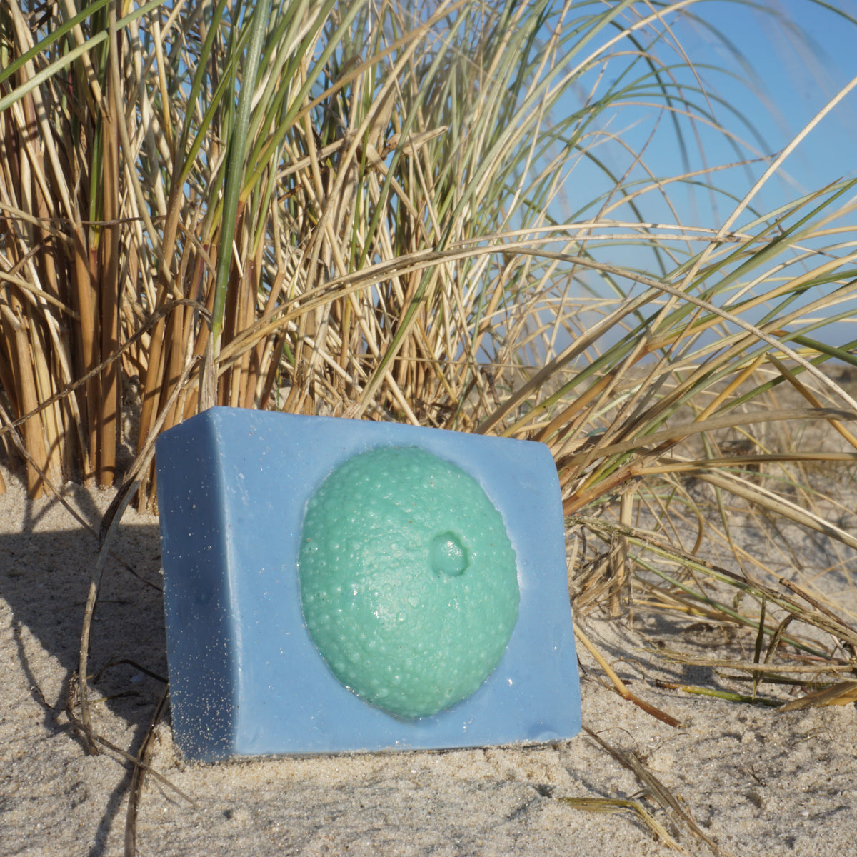 "Sea Urchin"